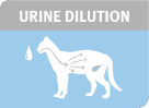 urine dillution image