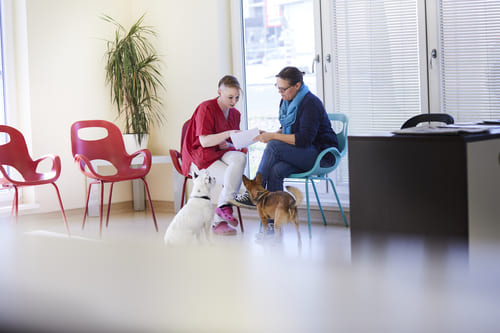 Determining a client’s nutritional “readiness to change”