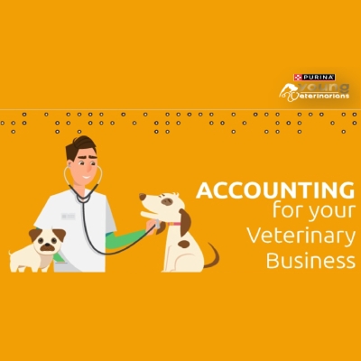 Accounting for your veterinary business