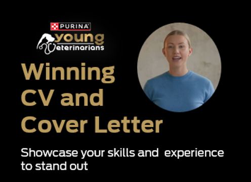 Build a Winning CV & Cover Letter