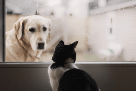 Zdrowie układu moczowego