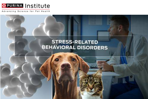 Zaburzenia zachowania związane ze stresem