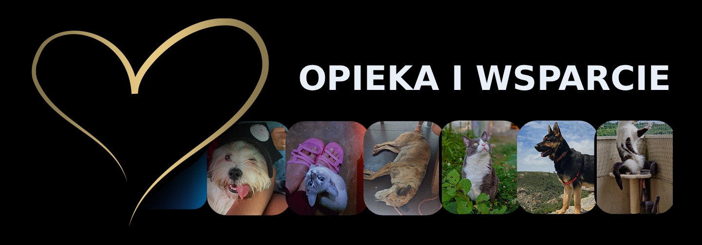 Opieka i wsparcie