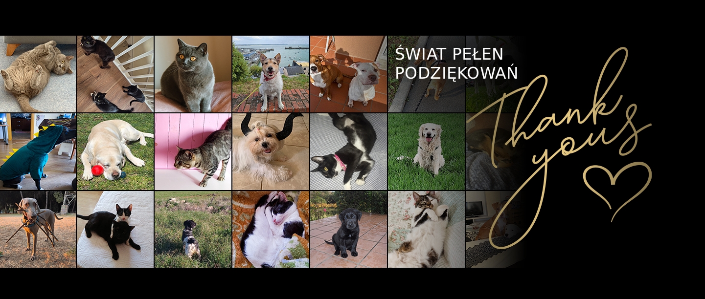 Świat pełen słów «dziękuję»