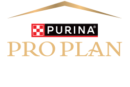 PPVD logo