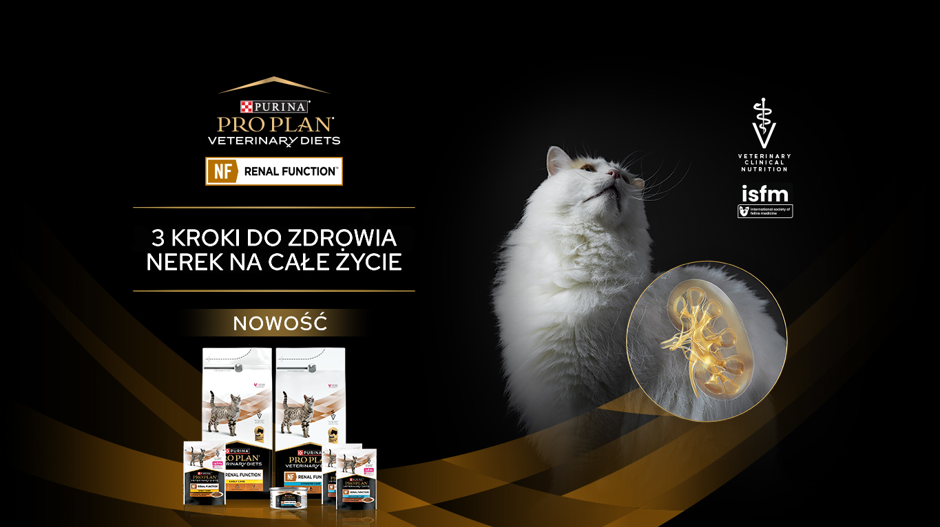 Produkty Purina Pro Plan Veterinary Diets NF Renal Function dla kotów z grafiką przedstawiającą kota oraz zdrowie nerek