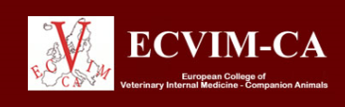 European College of Veterinary Internal Medicine – Companion Animals