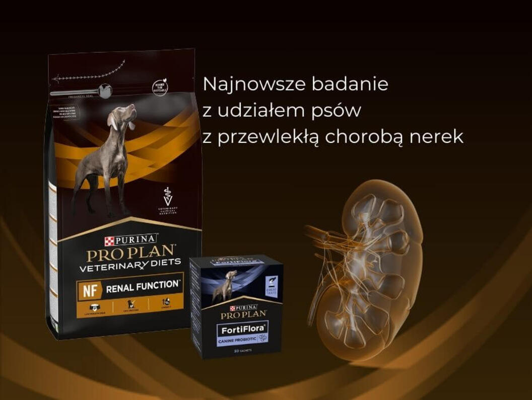 Najnowsze badanie z udziałem psów wykazało efekt zastosowanie specyficznej probiotykoterapii w chorobie nerek u psów. 