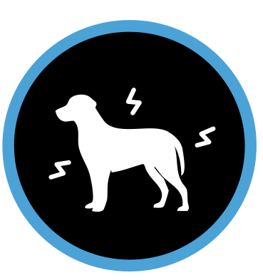 Zewnętrzne czynniki stresowe