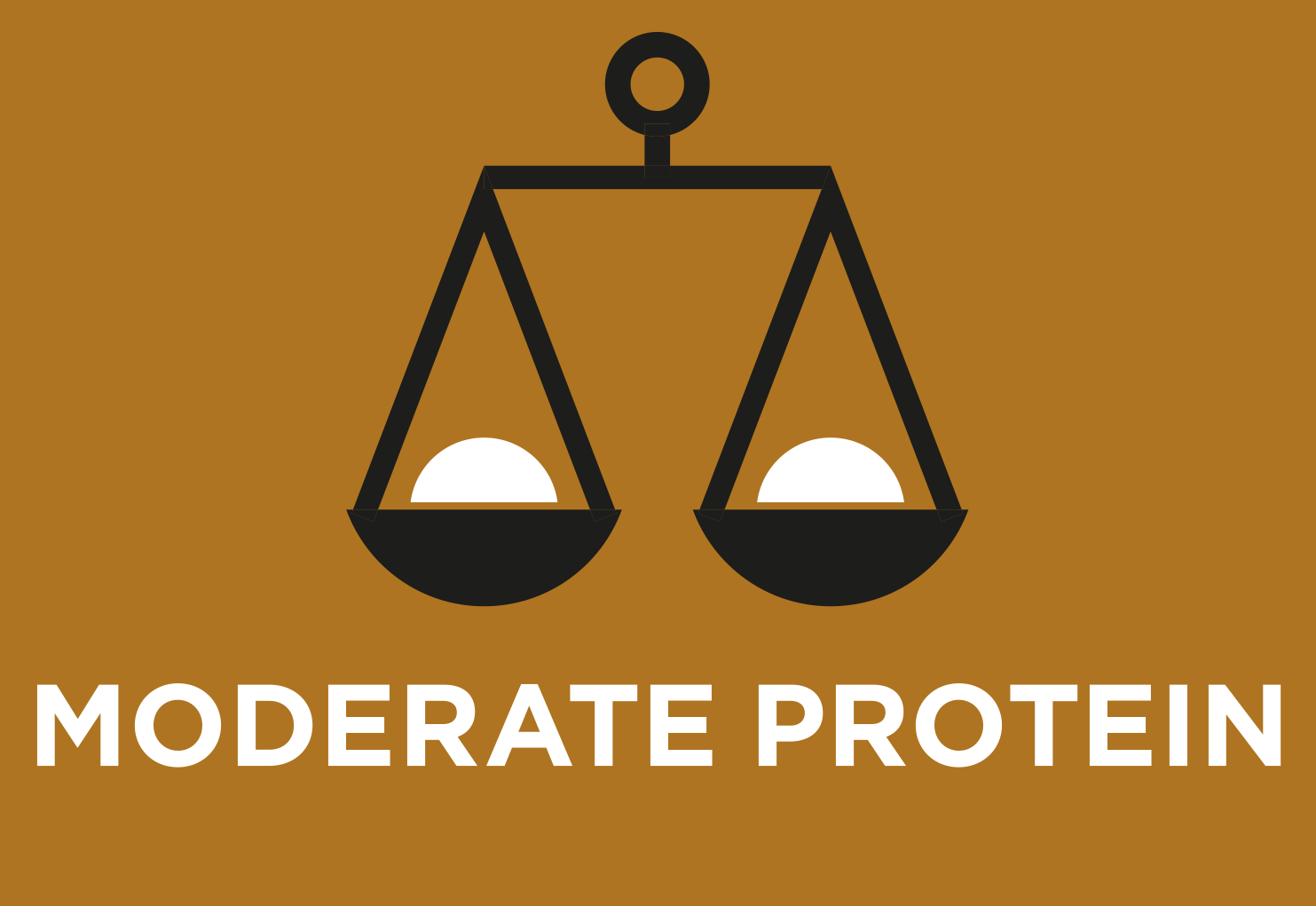 Moderate Protein