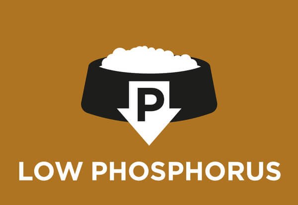 Niski poziom fosforu 
