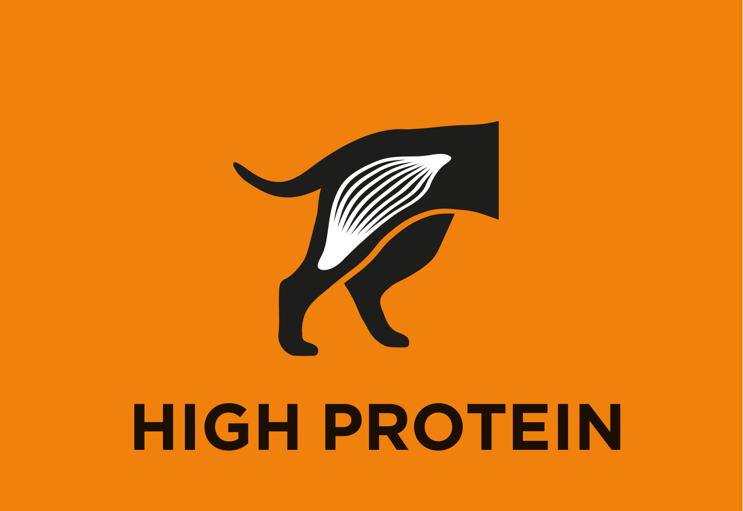 Wysoki poziom białka 
