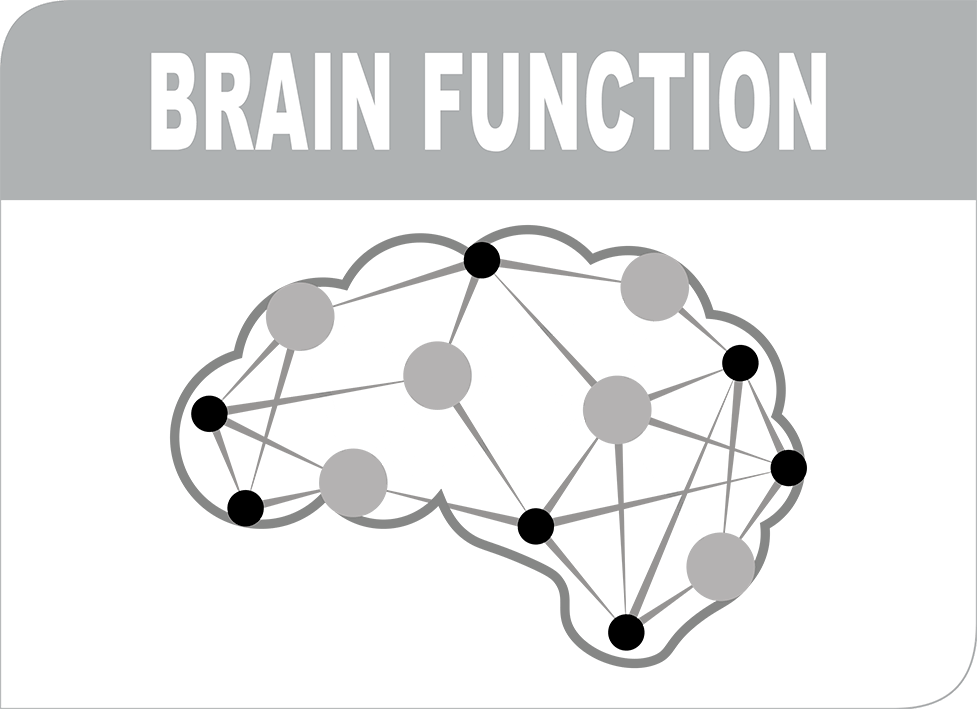 Funkcje mózgu highlight image