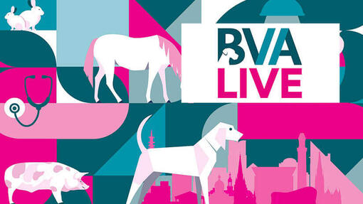 BVA LIVE