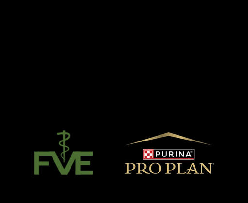 fve-banner-mobile3.jpg 