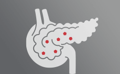 icon_endocrine_system_health