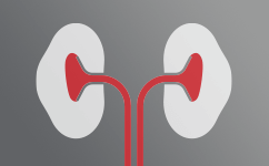 icon_renal_health