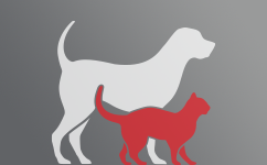icon_miscellaneous