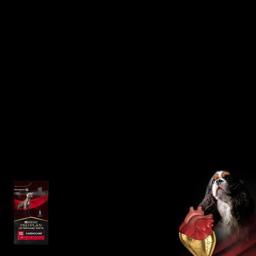 CardioCare banner mobile