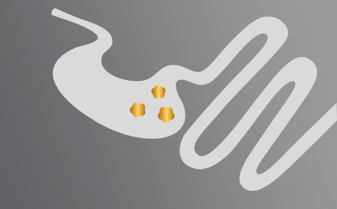 Zdrowie Układu Pokarmowego