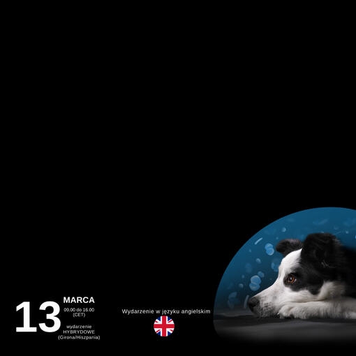 Calming Care Sympozjum