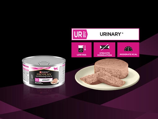 PURINA® PRO PLAN® VETERINARY DIETS FELINE UR St/Ox Urinary™ - Mus