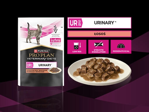 PURINA® PRO PLAN® VETERINARY DIETS FELINE UR St/Ox Urinary™ - Saszetki z Łososiem