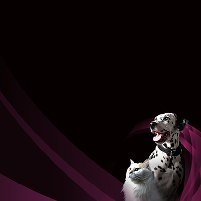 Specjalistyczna opieka wspierająca zdrowie układu moczowego